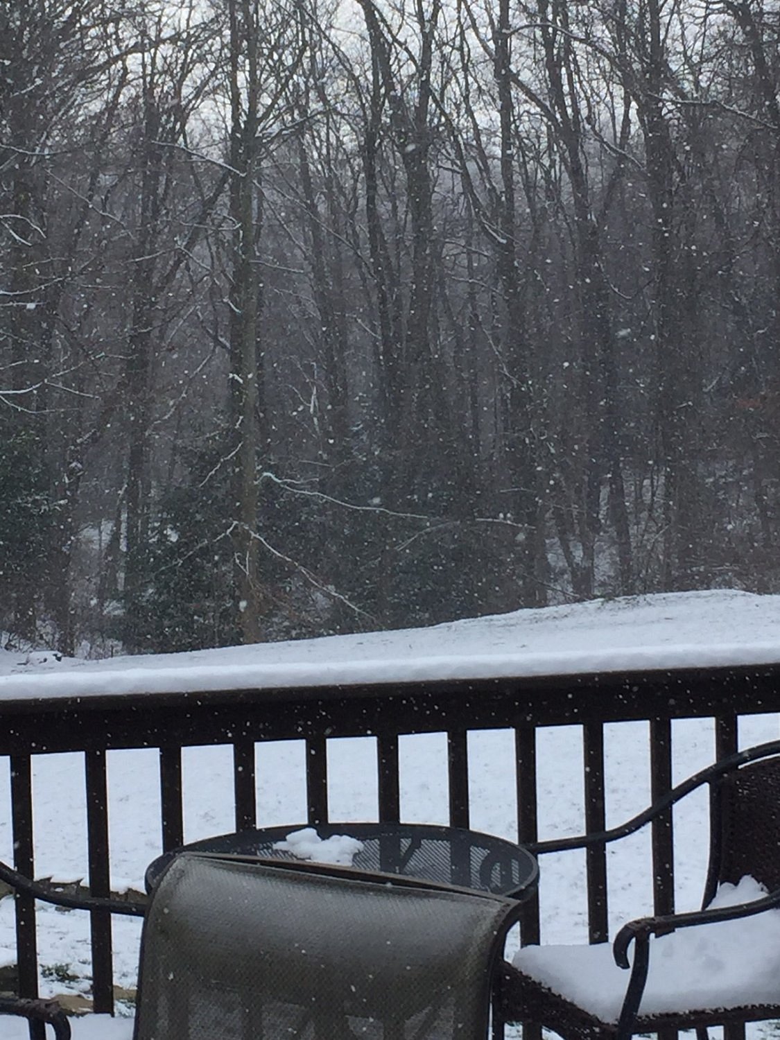 Mystic Mountain – Farmington in USA - a couple of chairs sitting on a deck in the snow.