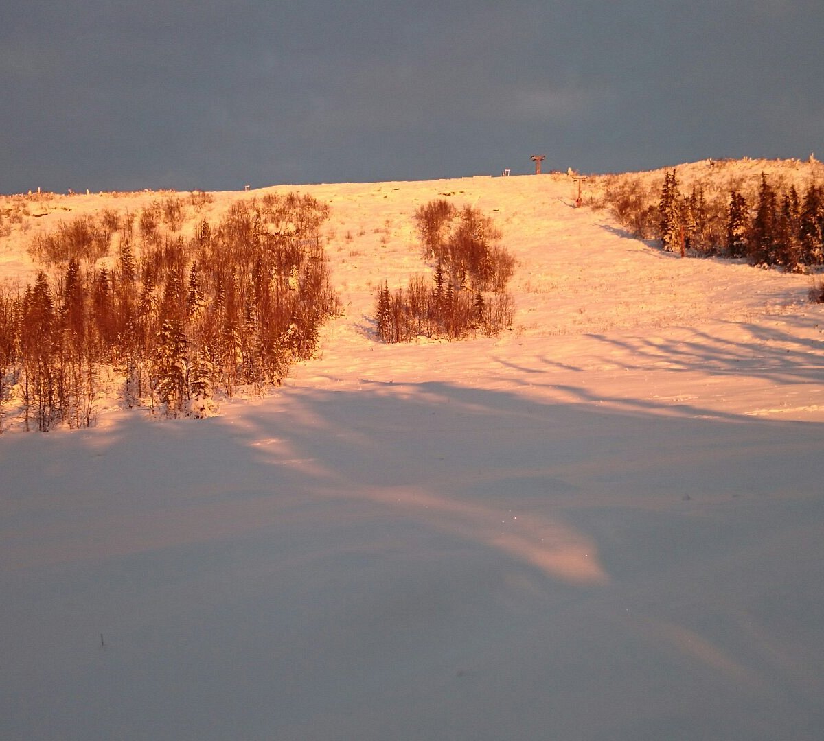 Nalovardo in Sweden - a snow covered mountain with trees in the fore.