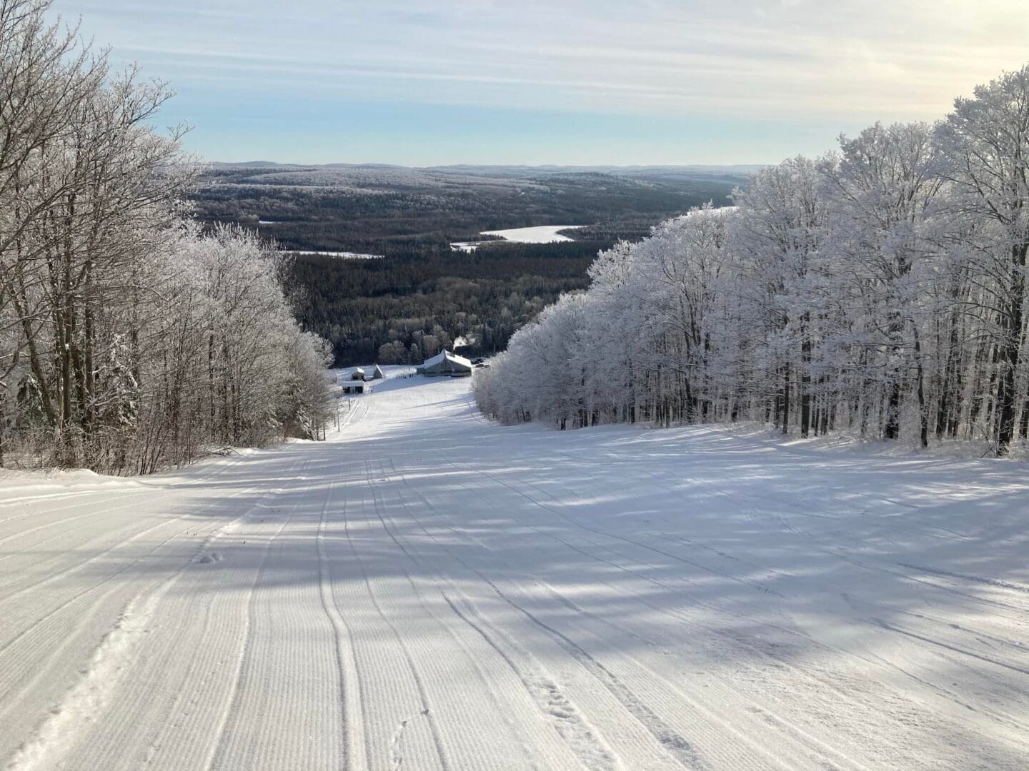 Mont Biencourt in Canada - a ski slope with trees covered in snow.