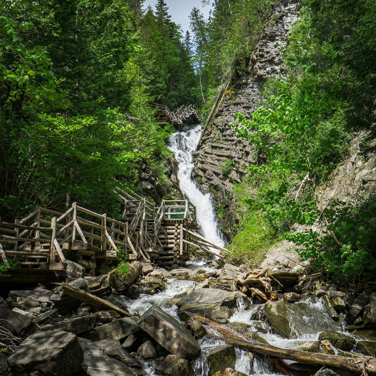 Mont Biencourt in Canada - a small waterfall in the middle of a forest.