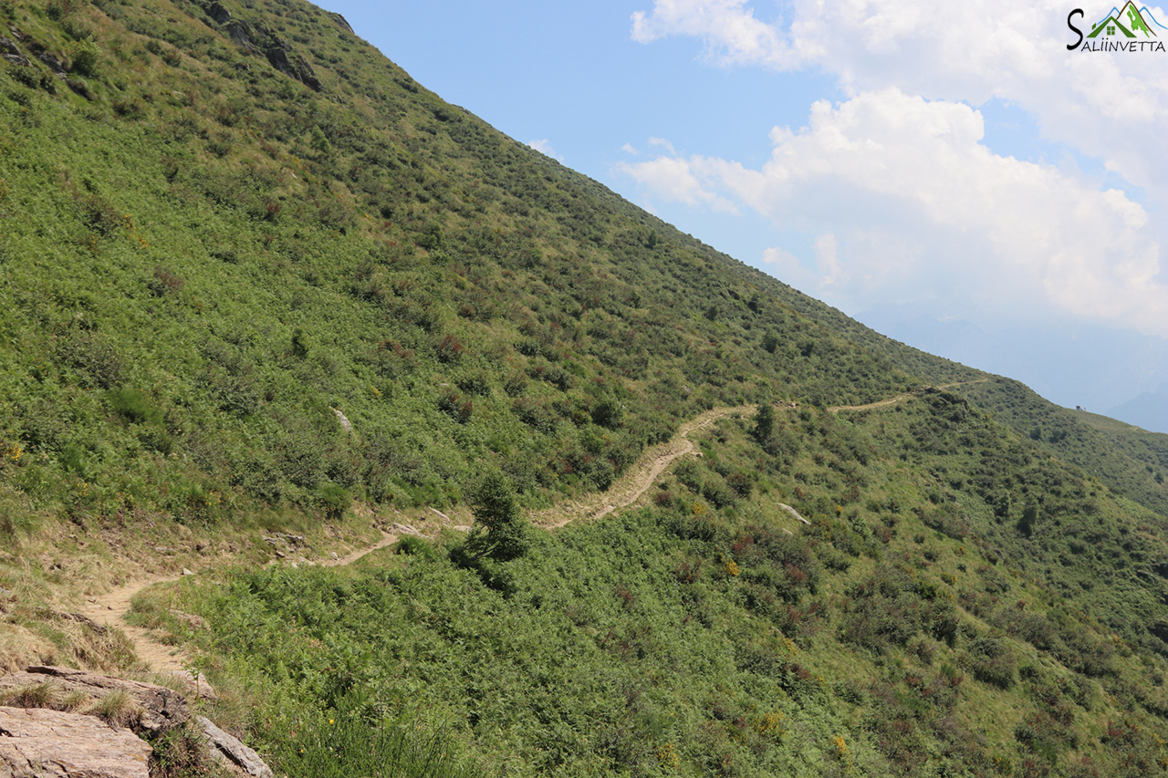 Selvarotonda – Cittareale in Italy - a man riding a bike down a steep hill.