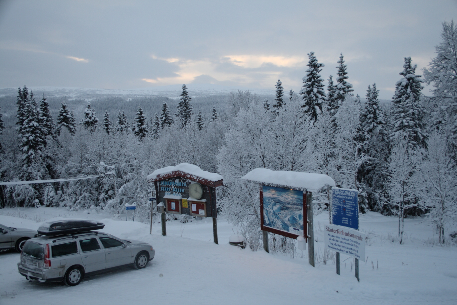 Edsåsdalen in Sweden - trees covered in snow.