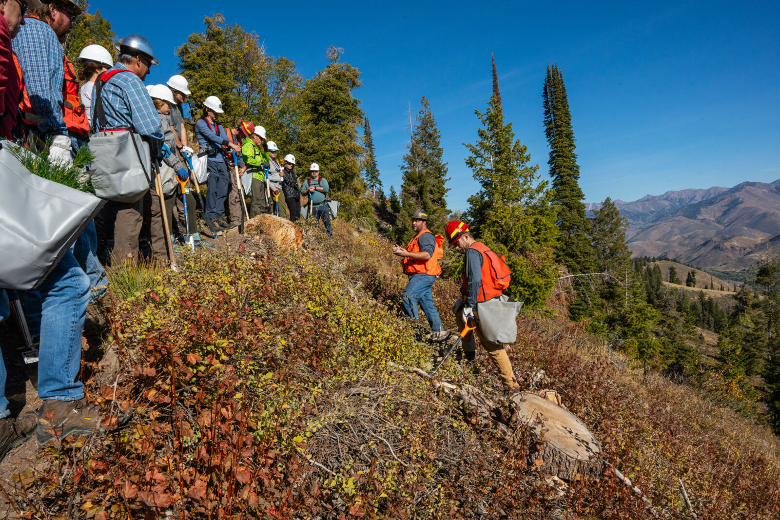 Bald Mountain in USA - a group of people walking up a hill.