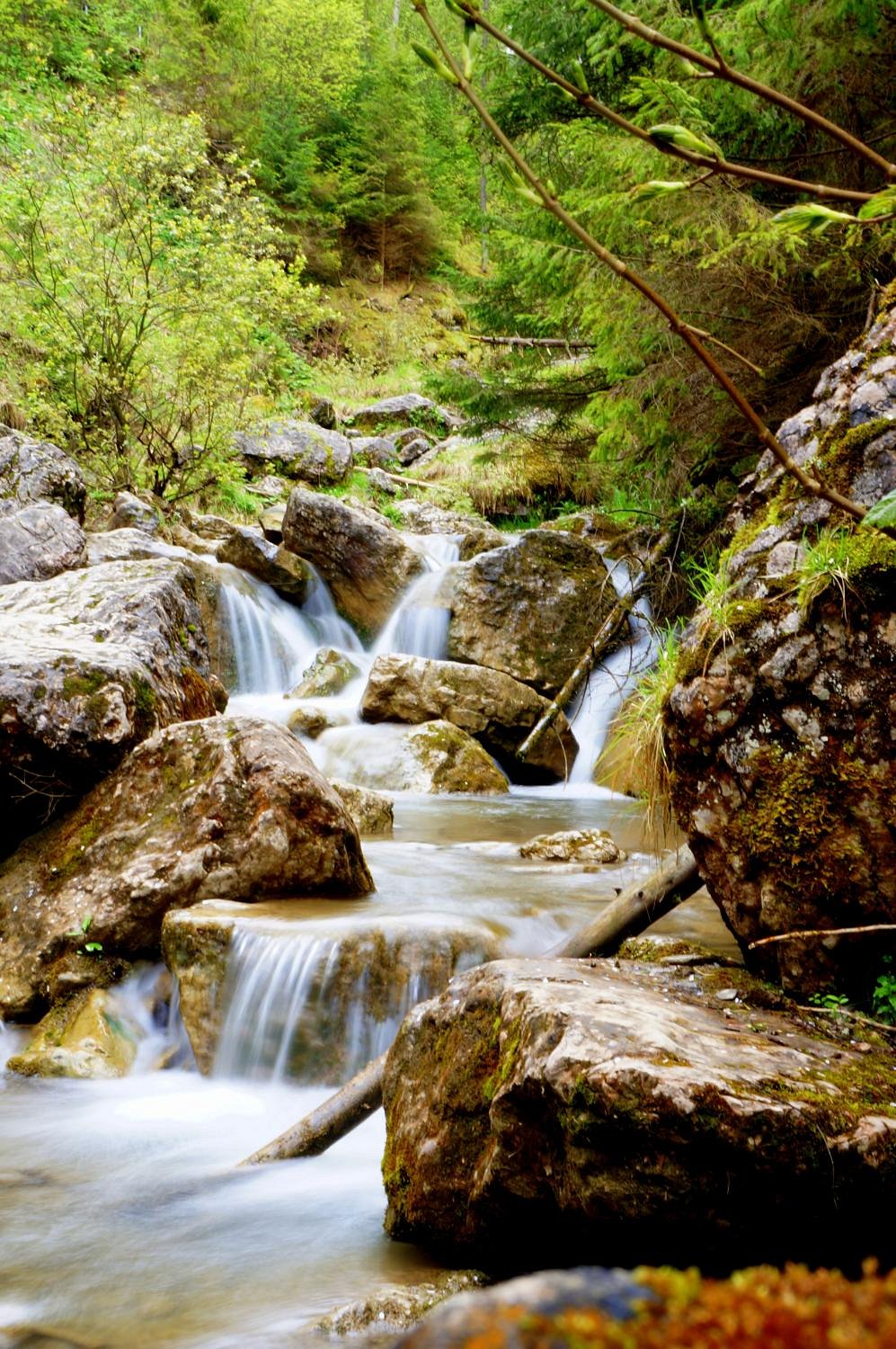 Homole – Jaworki in Poland - a small waterfall in the middle of a forest.