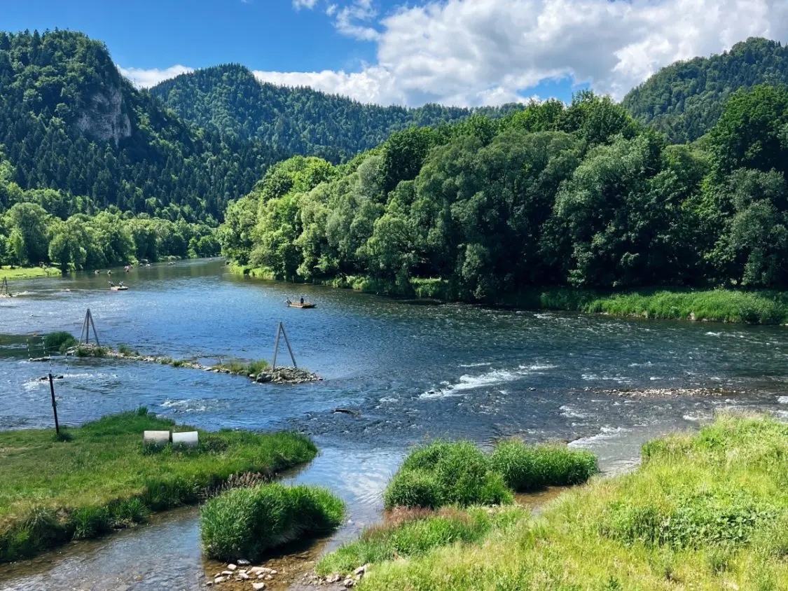Homole – Jaworki in Poland - a river in the middle of a forest.