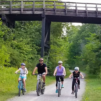 Treetops in USA - a group of people riding bikes under a bridge.