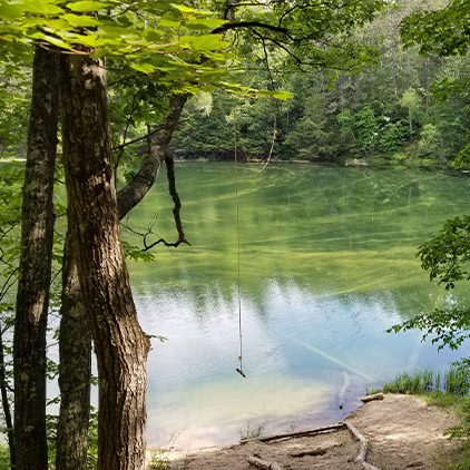 Treetops in USA - a lake surrounded by trees in the woods.