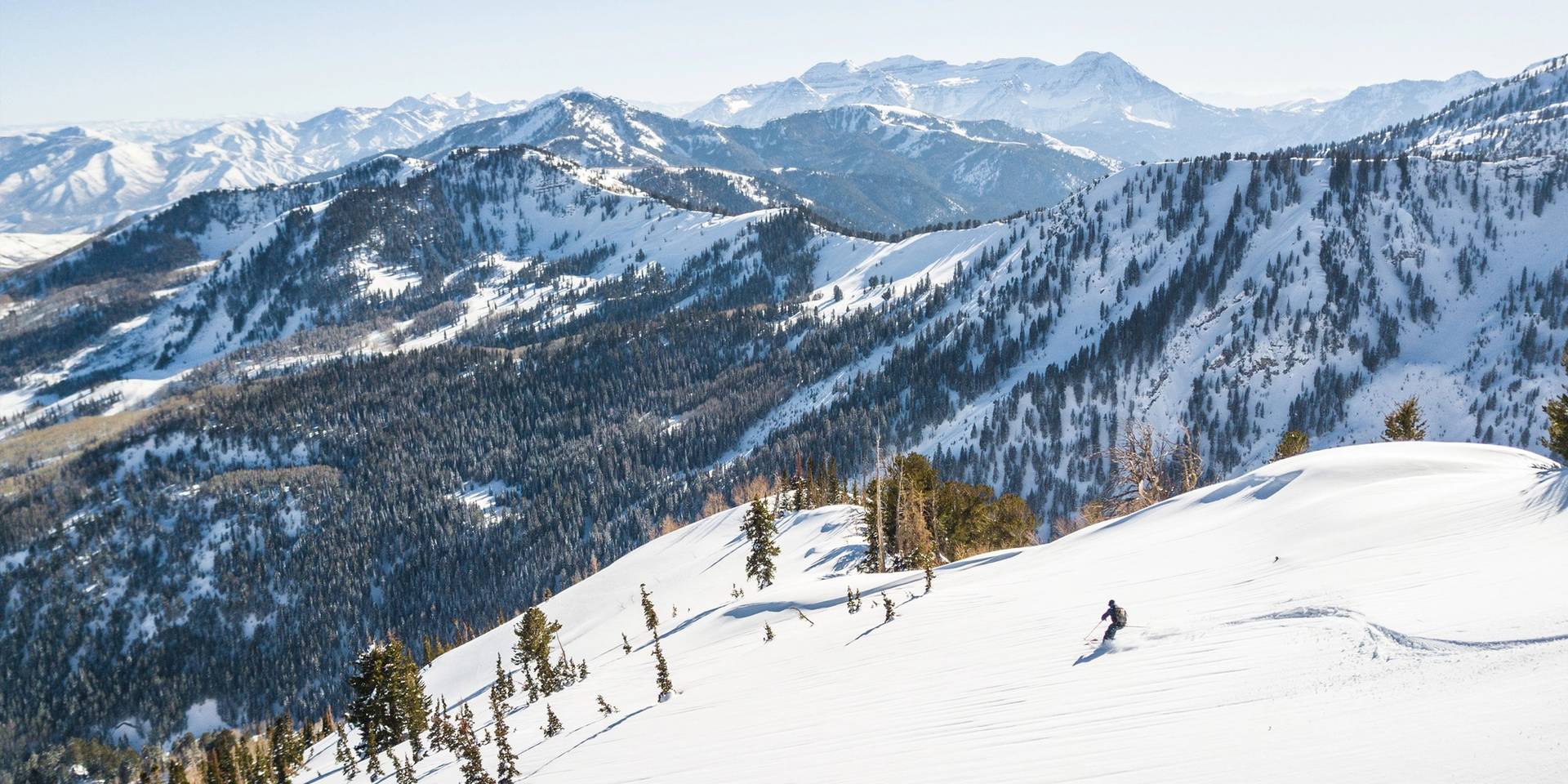 Brighton in USA - a person skiing down a snow covered mountain.