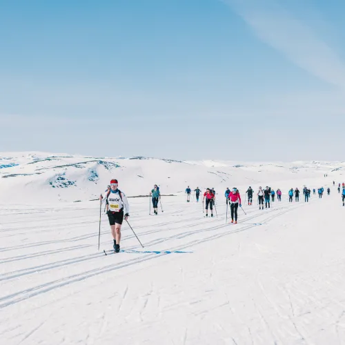 Winter sports enthusiasts enjoy skiing amid the breathtaking winter scenery at Geilo in Hallingdal, Buskerud, Norway. Snow-covered landscapes enhance the beauty of this renowned winter sports centre.