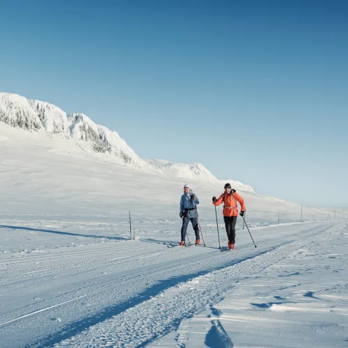 A skier enjoying a winter sports scene at Geilo in Hallingdal Buskerud Norway with stunning winter scenery around including a winter sports centre and chalet.
