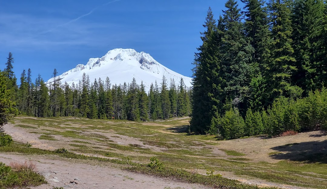 View of the majestic Timberline Summit Pass in Oregon, showcasing a stunning mountain under the clear, sunny sky.