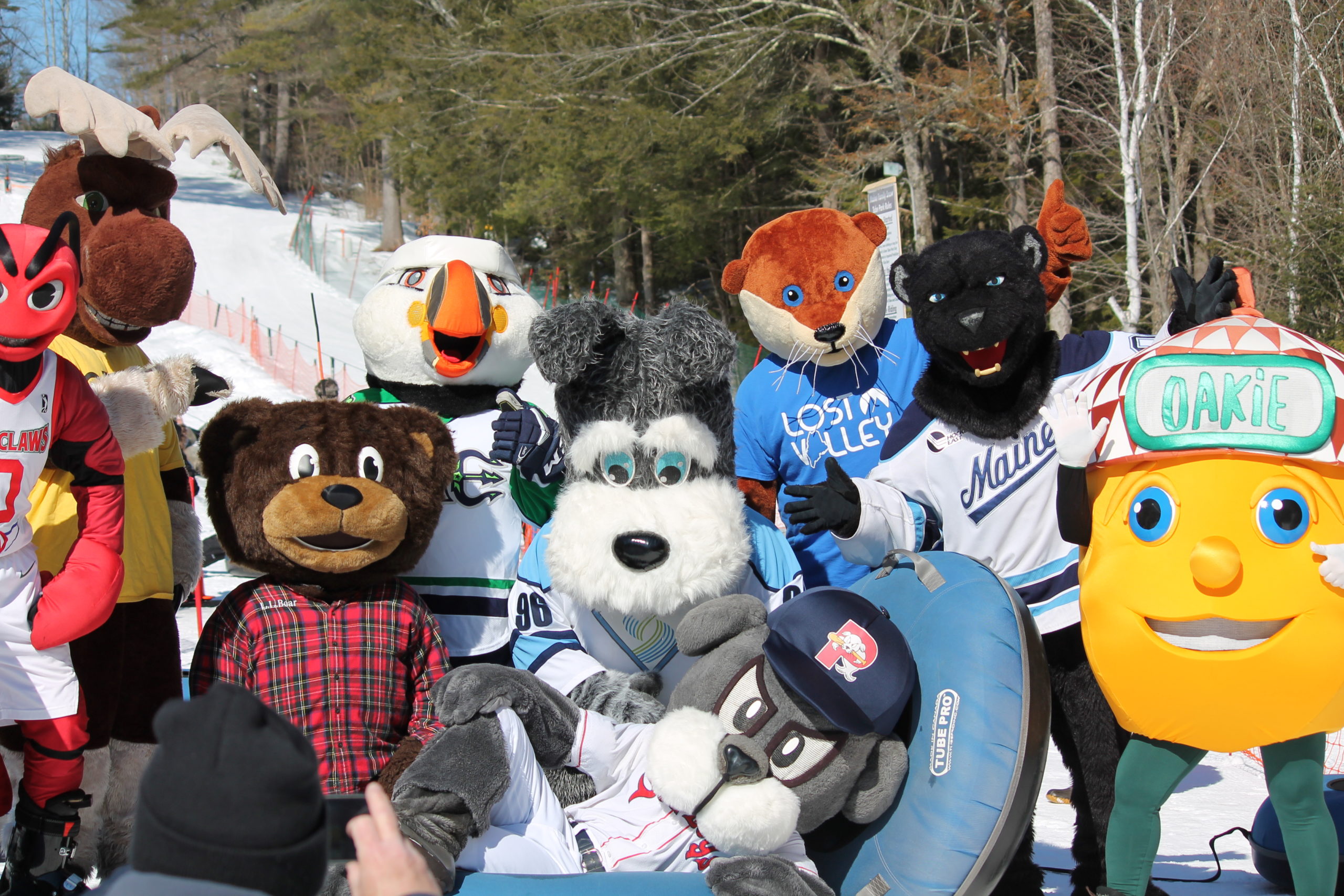 Winter sports scene at Lost Valley, Maine, showcasing a ski resort with a lift, a skier making their way down the snowy slopes, and a snowmobile parked nearby.