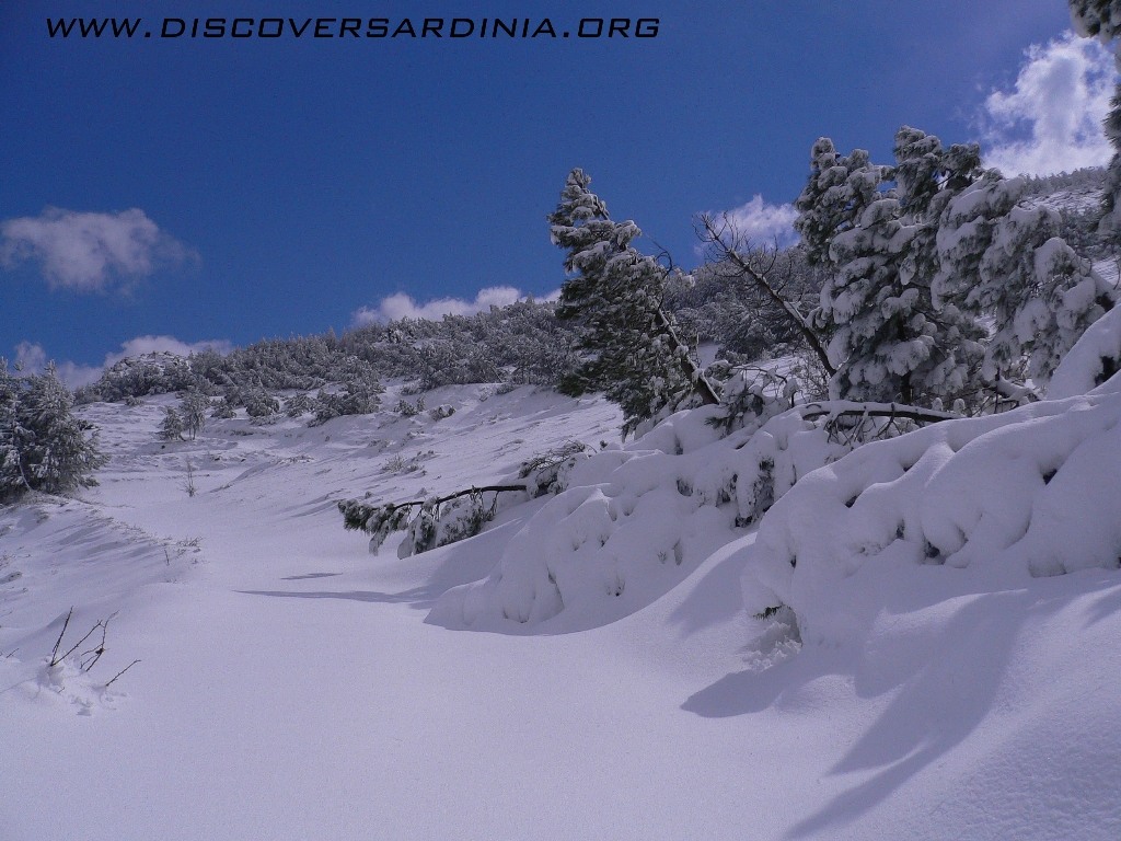 Bruncu Spina in Italy - a person is skiing down a snowy hill.