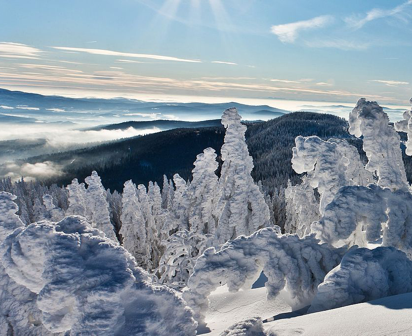 Arber in Germany - snow covered trees on top of a mountain.