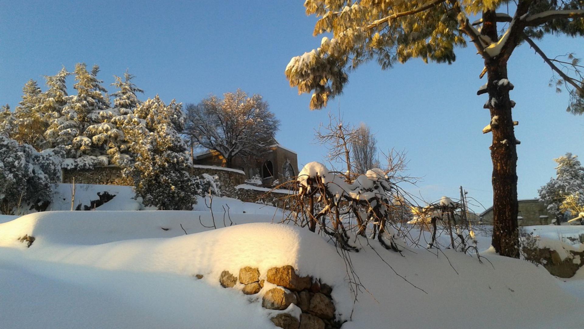 Faqra in Lebanon - a snow covered tree in front of a house.