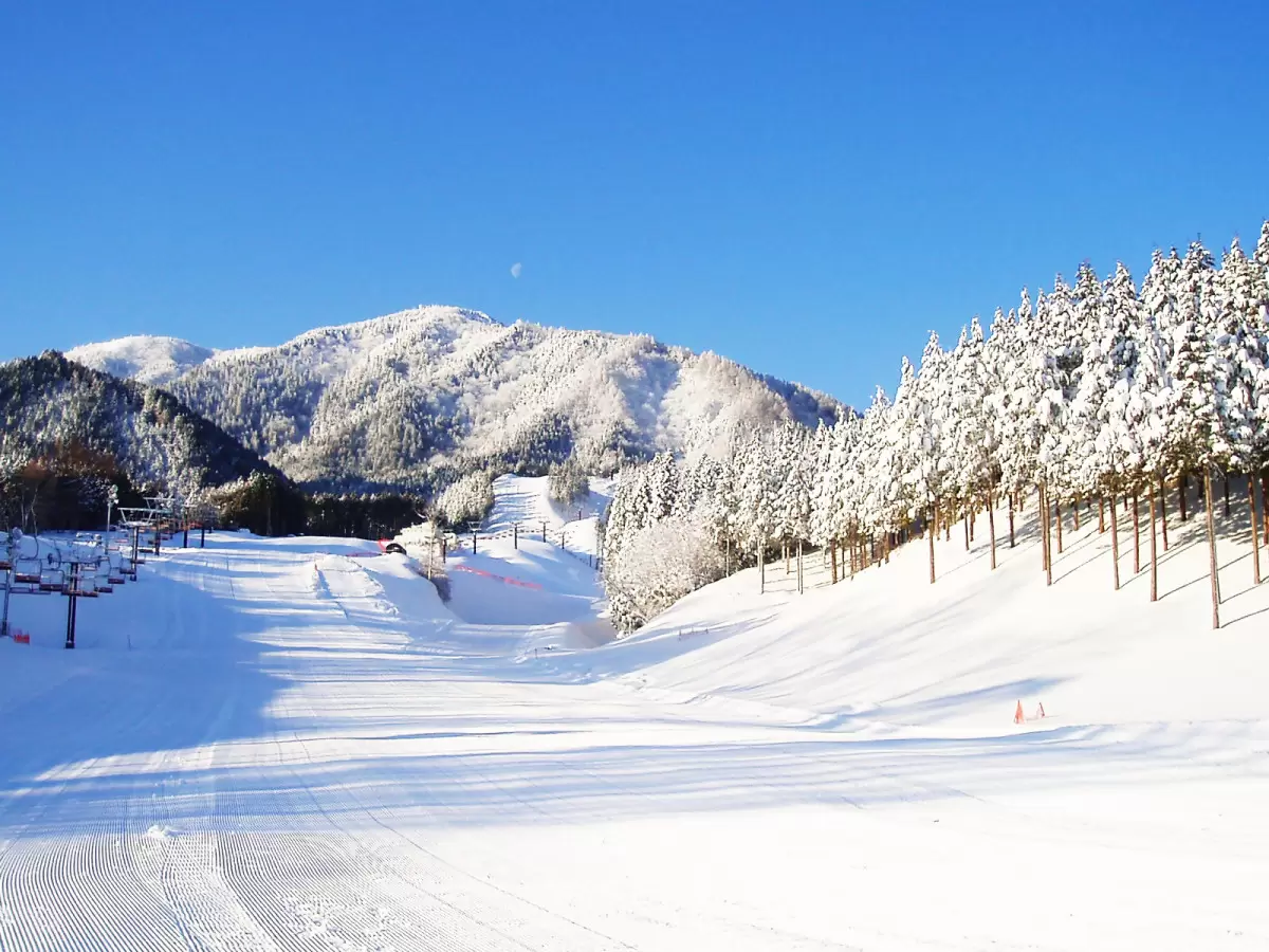 Tsuguro Kogen in Japan - a ski slope covered in snow and trees.