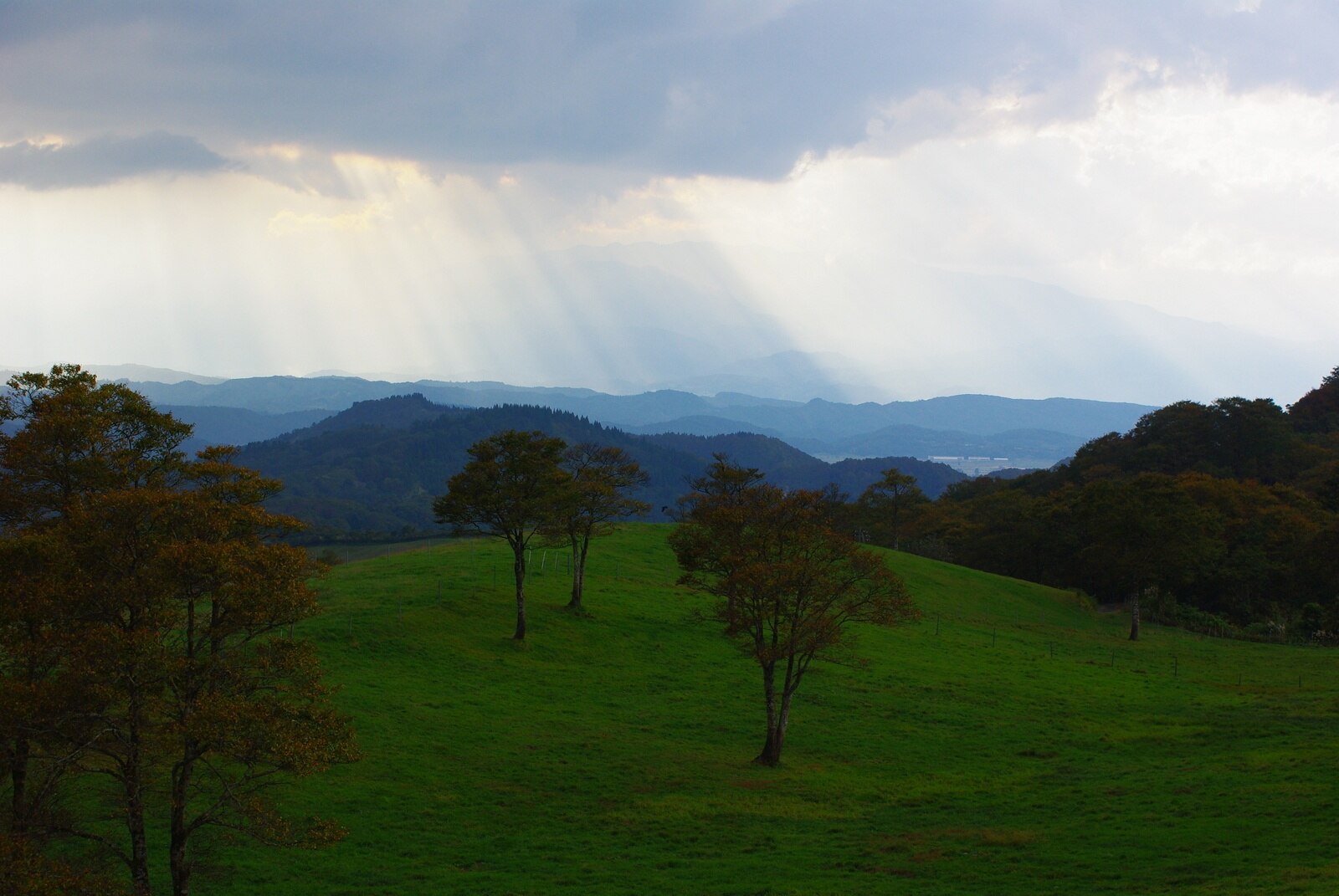 Uenono in Japan - a field with trees and mountains in the background.