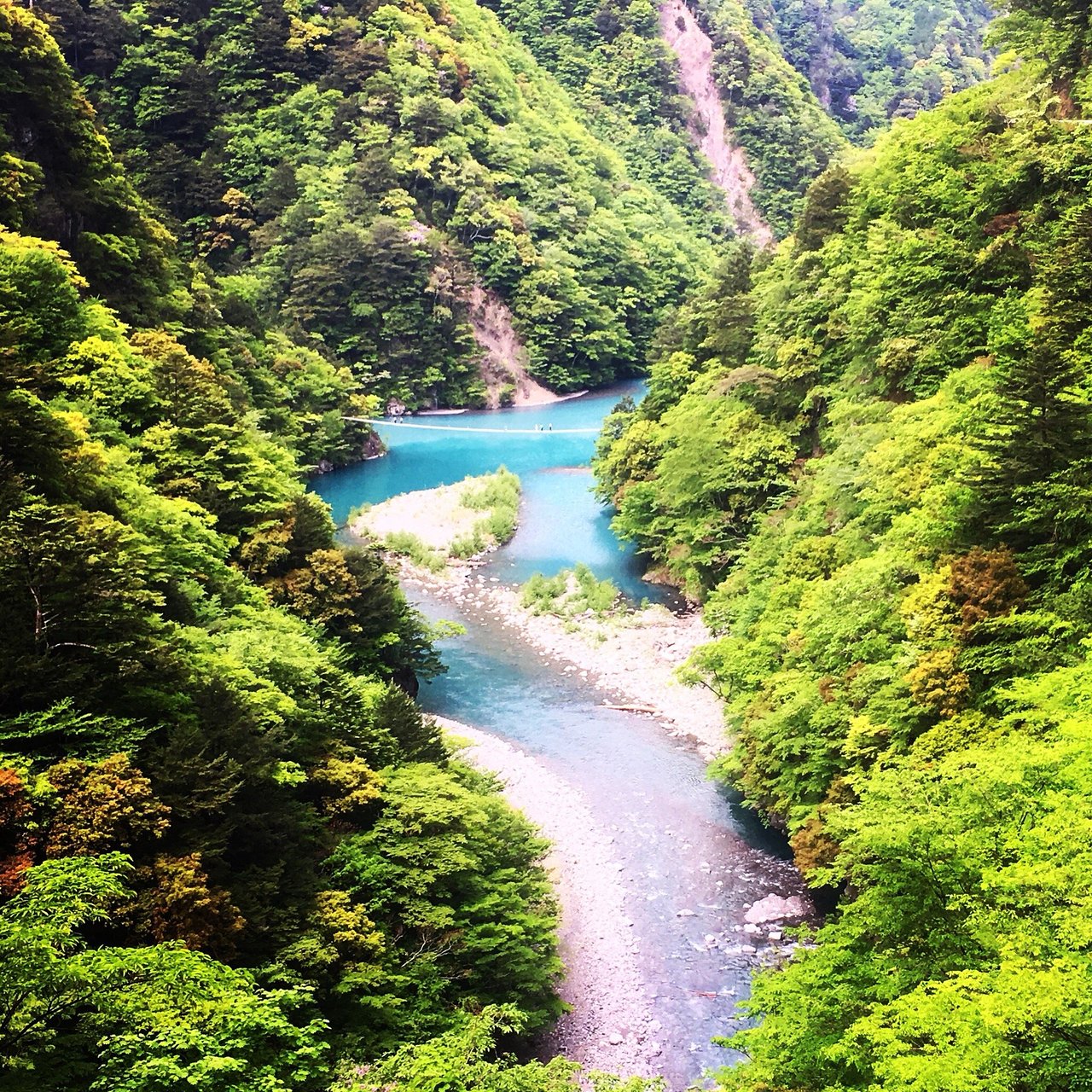 Shokawa Kogen in Japan - a river running through a lush green forest.