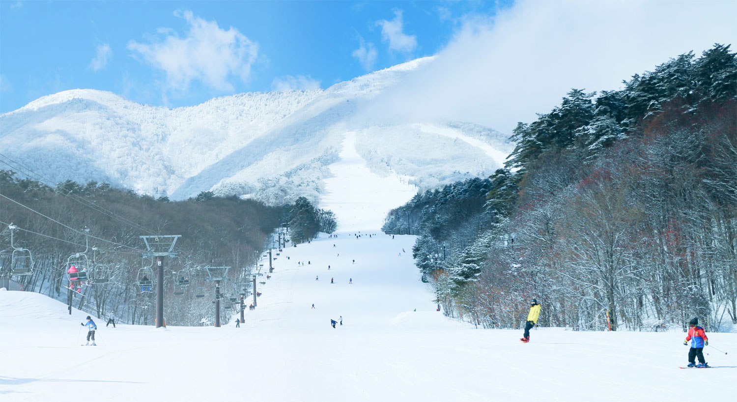 Kanayasan in Japan - a group of people skiing down a snowy slope.