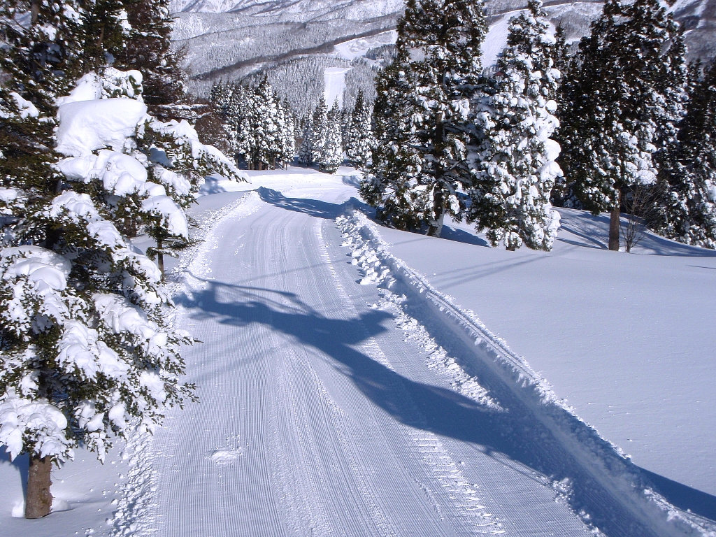 Hida Highland in Japan - tracks in the snow.