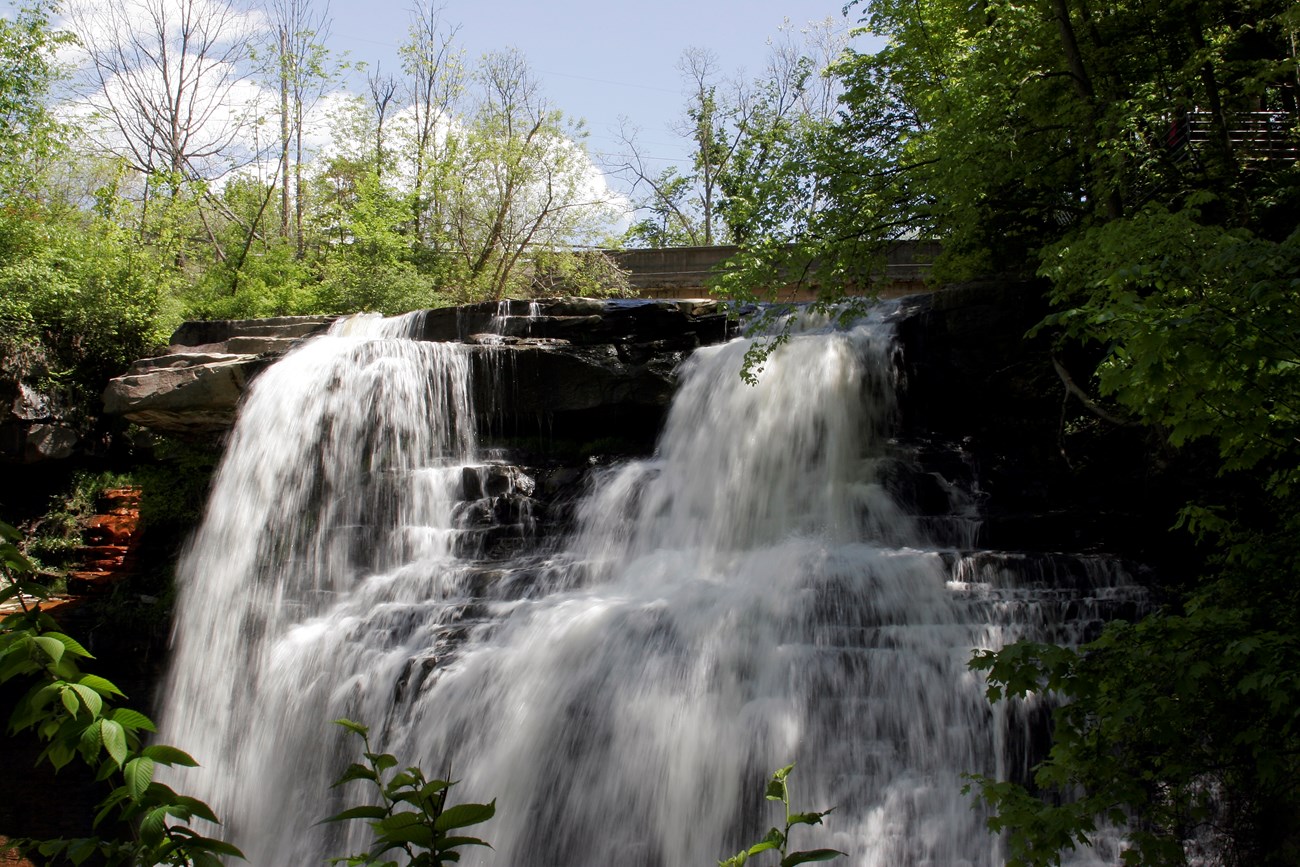 Brandywine in USA - a waterfall in the middle of a forest.