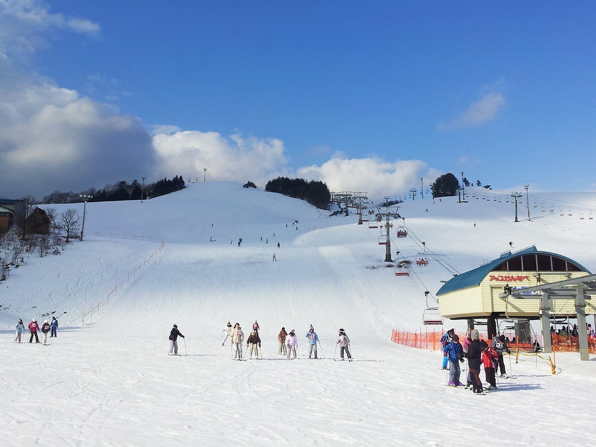 UP Kannabe in Japan - a group of people skiing down a snowy hill.