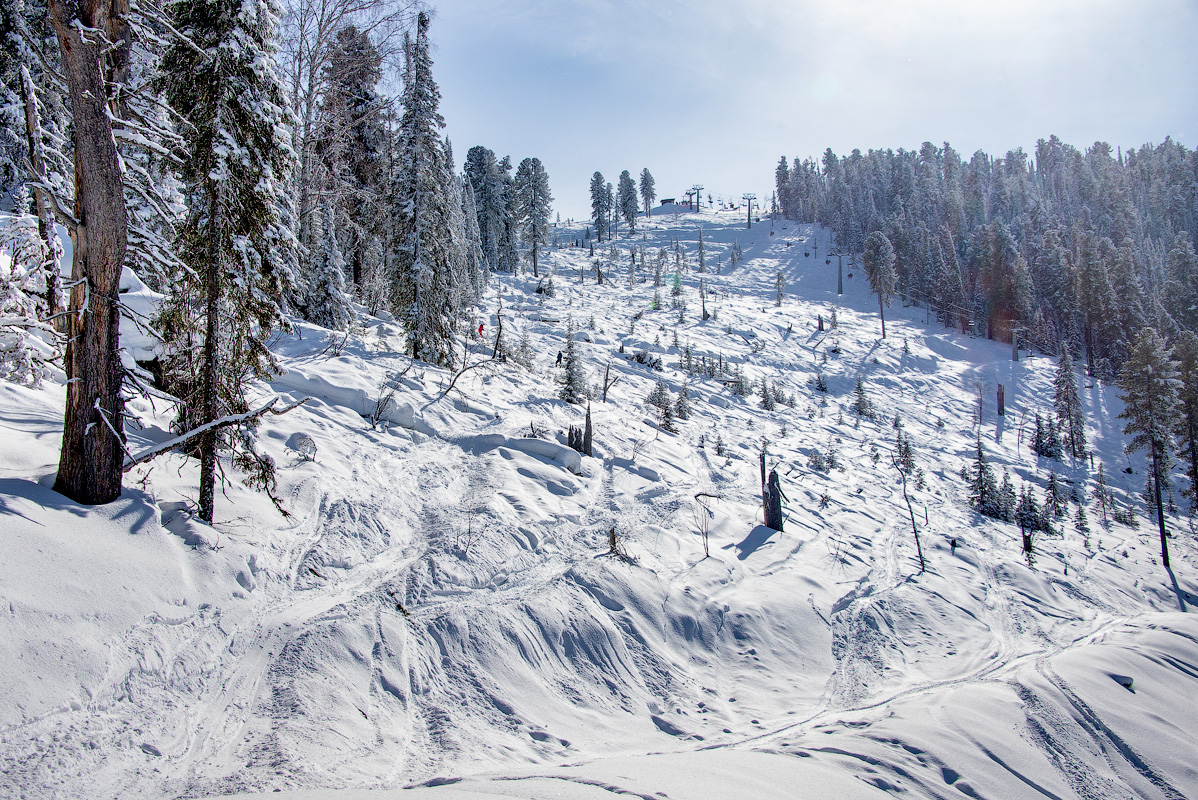Davegor in Russia - a ski slope covered in snow and trees.