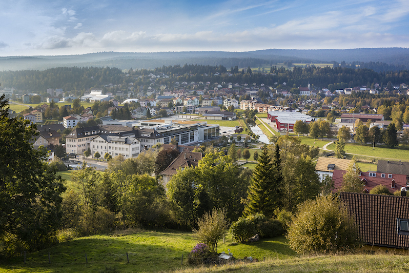 L'Orient in Switzerland - a view of a small town in the mountains.