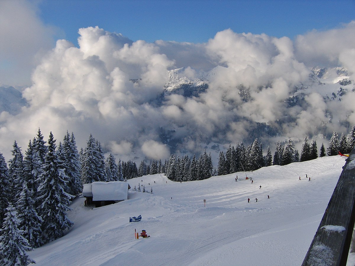Silvretta Montafon in Austria - snow covered trees in the background.