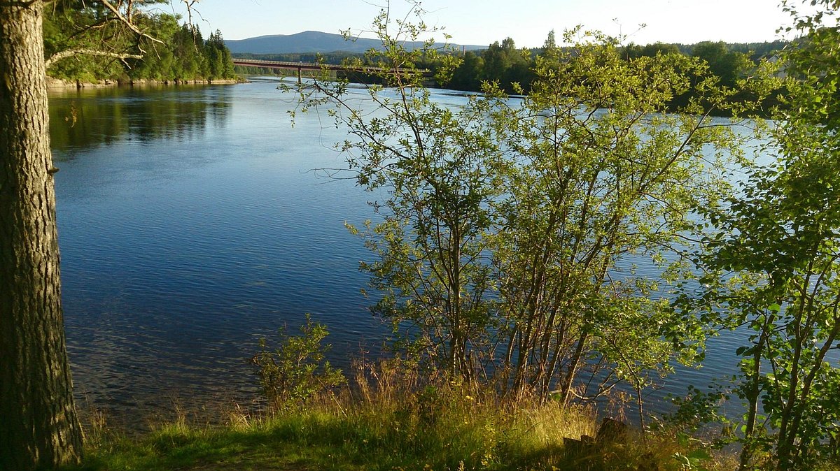 Rena in Norway - a large body of water surrounded by trees.