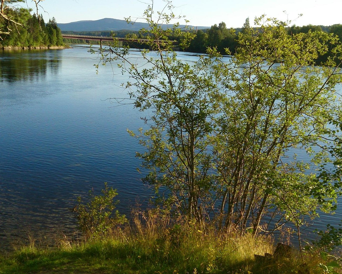 Rena in Norway - a body of water.