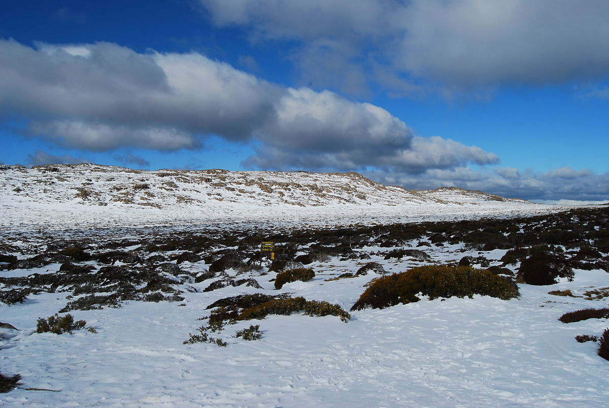 Ben Lomond in Australia - snow on the ground.