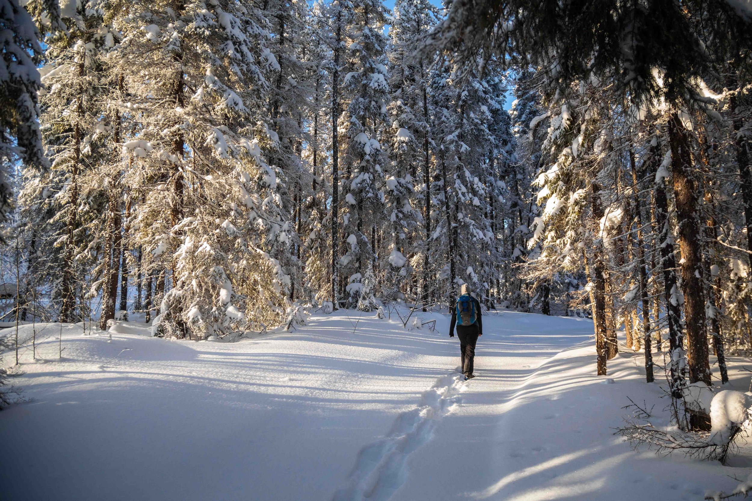 A lively winter sports scene at Mystery Mountain in Manitoba Canada featuring stunning scenery a bustling chalet and a winter sports centre nestled in the snow.