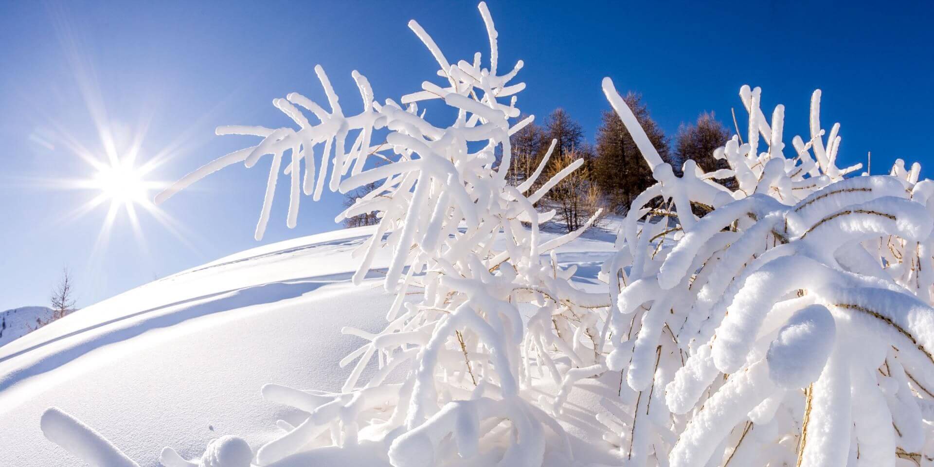 Val d'Allos - Espace Lumière in France - the sun is shining on the snow covered trees.