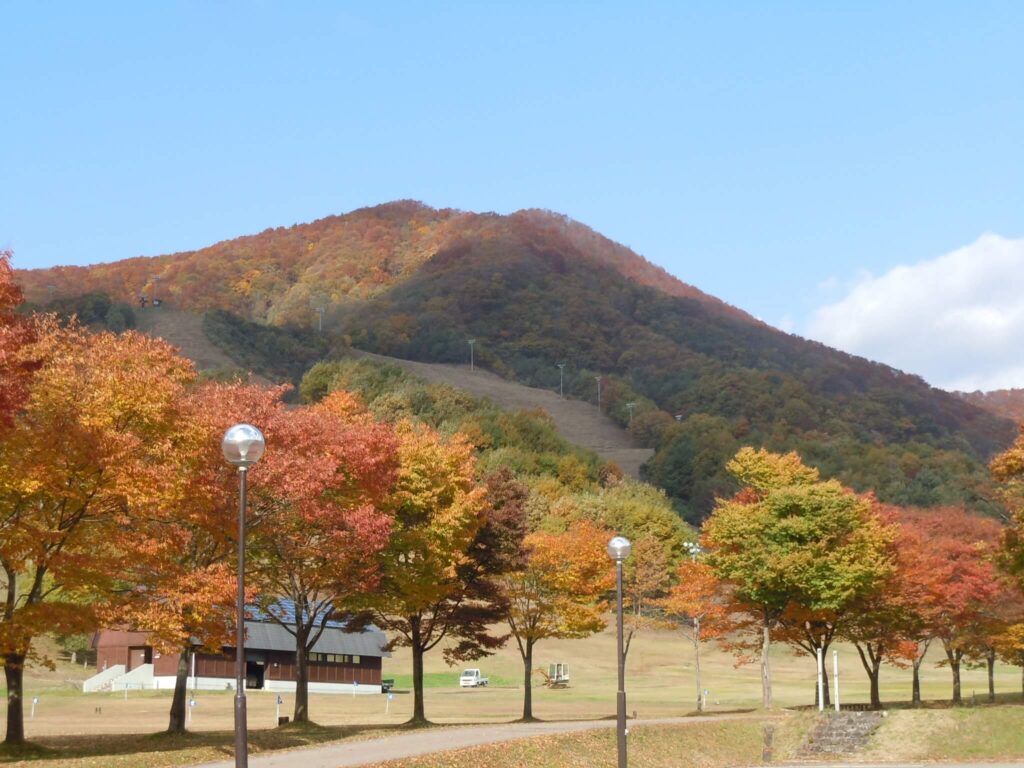 Kamuro in Japan - a view of the mountains and trees in autumn.