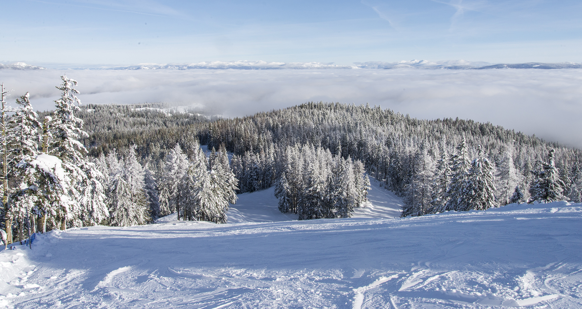 Scenic image of Phoenix Mountain in Kootenay Rockies, British Columbia showcasing a bustling ski resort amidst vast snow-covered slopes. Winter enthusiasts are seen enjoying the sport, adding vitality to the serene winter landscape.