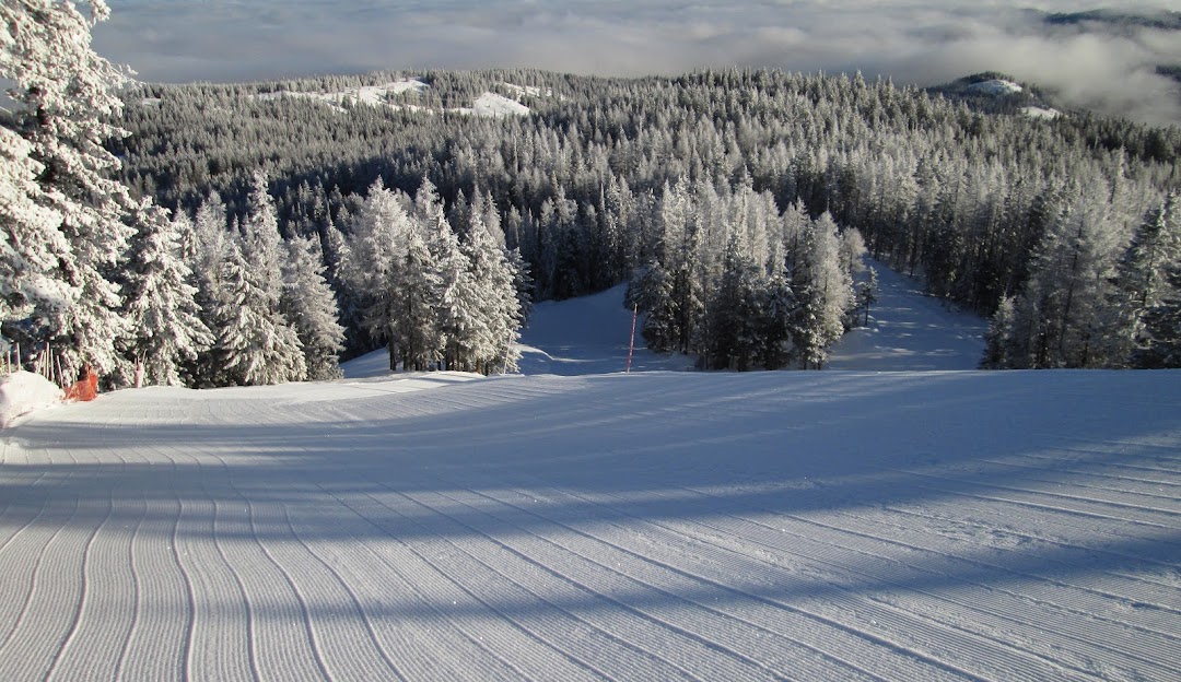 Ski resort scene on Phoenix Mountain in Kootenay Rockies, BC, Canada, featuring a skier navigating snow-covered slopes in a winter sports setting.