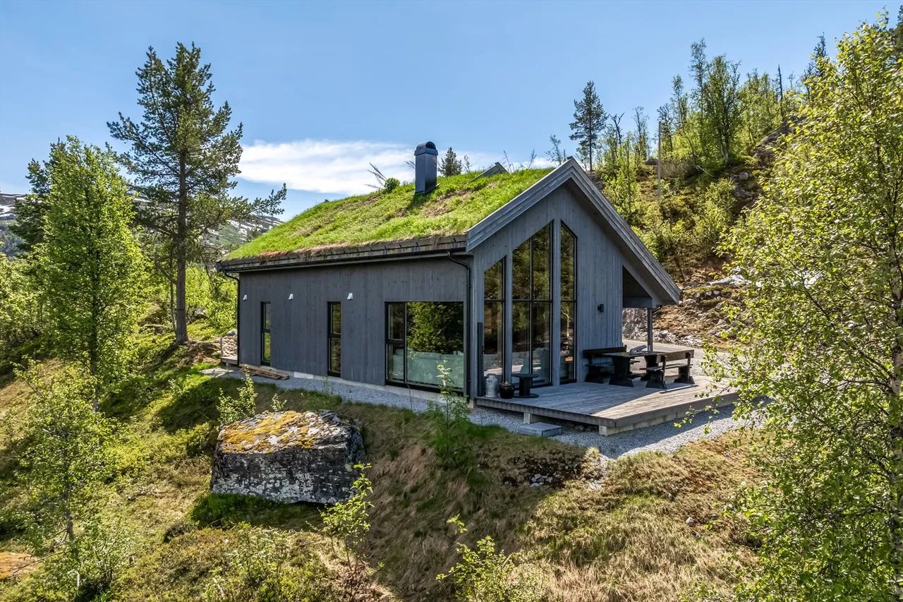 Hallbjønn in Norway - a house with a green roof in the woods.