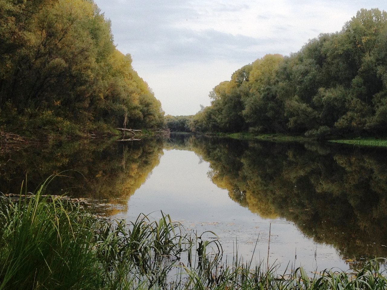Yurmanka in Siberia - a body of water with trees in the background.