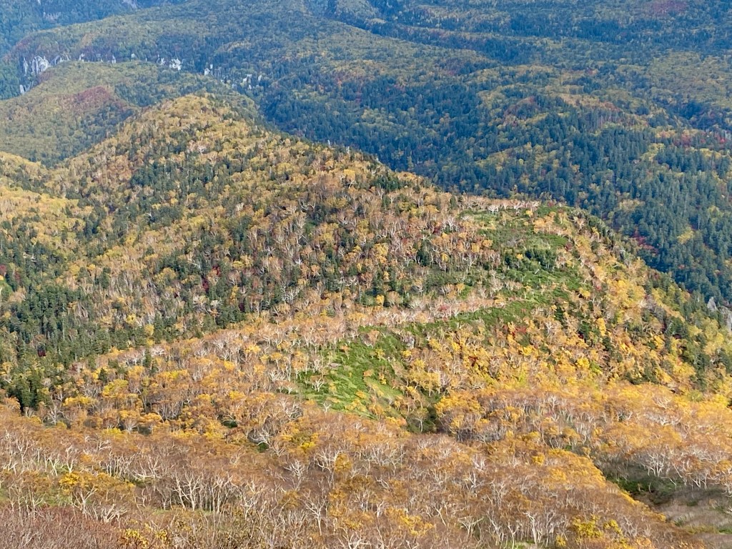 Daisetsuzan Kurodake – Sounkyo in Japan - a view from the top of a mountain in the fall.