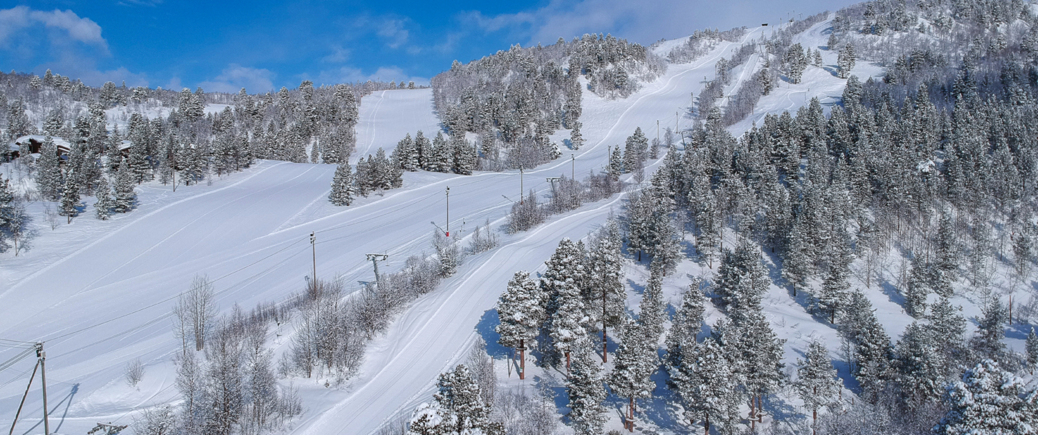 SarvesAlta in Norway - a person riding a ski board down a snowy slope.