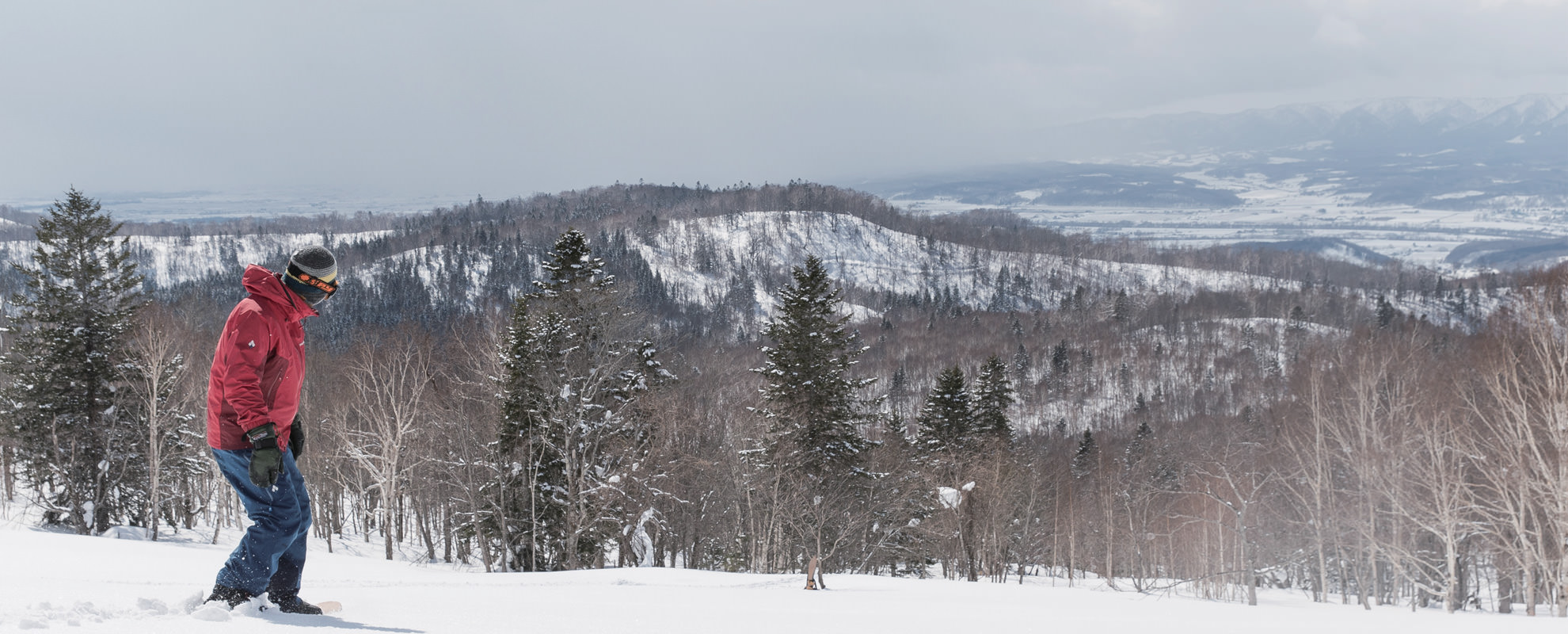 Bifuka in Japan - a person on a snowboard in the snow.