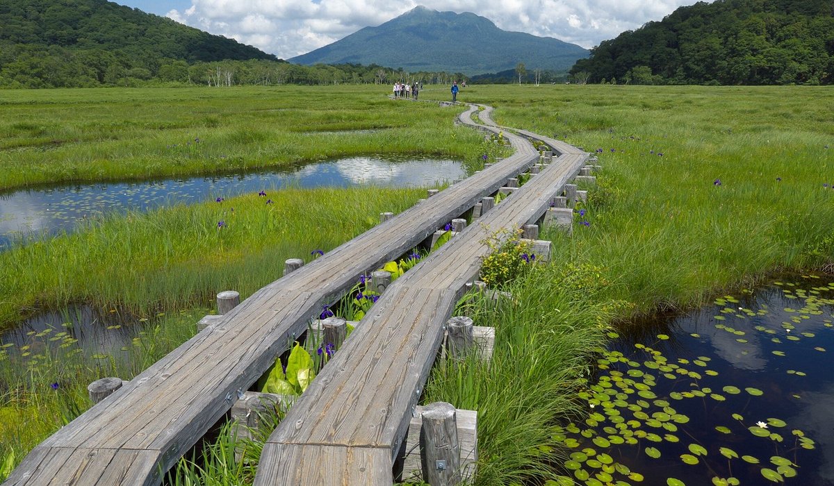 Hinoemata in Japan - a wooden boardwalk in the middle of a marsh.