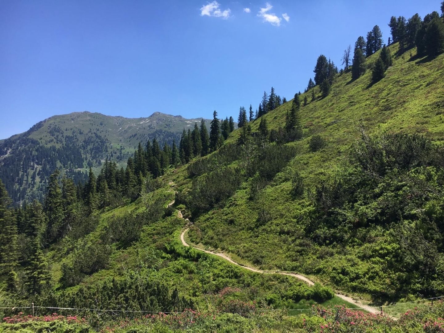 Spieljochbahn Fügen in Austria - the trail up to the top of the mountain.