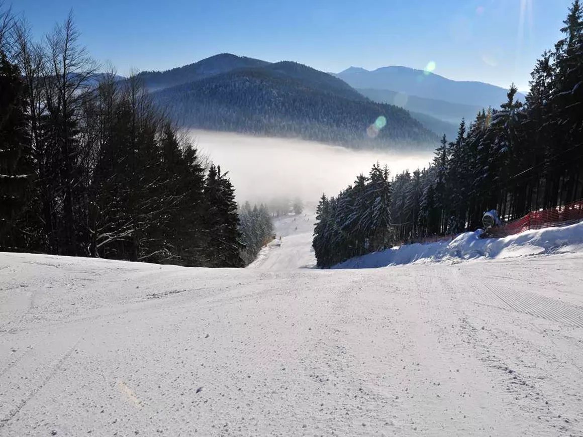 Eck-Riedelstein – Arrach in Germany - a snow covered ski slope with trees in the background.