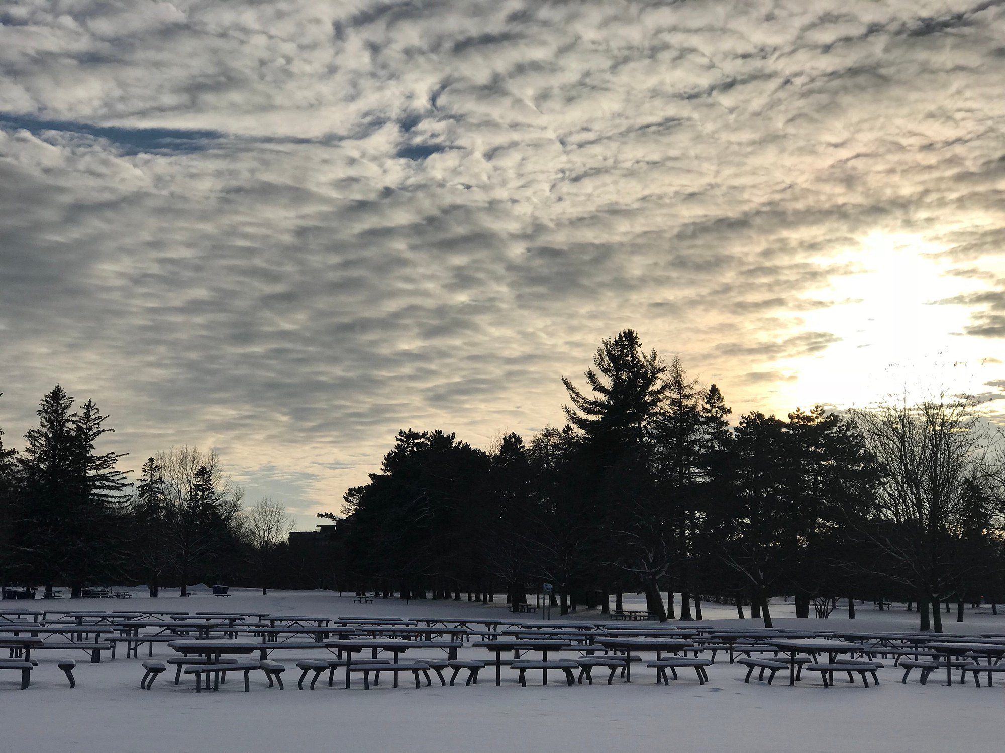View of a lively winter sports scene at Earl Bales in North York, Southern Ontario, featuring stunning snow-covered terrain and a quaint chalet.