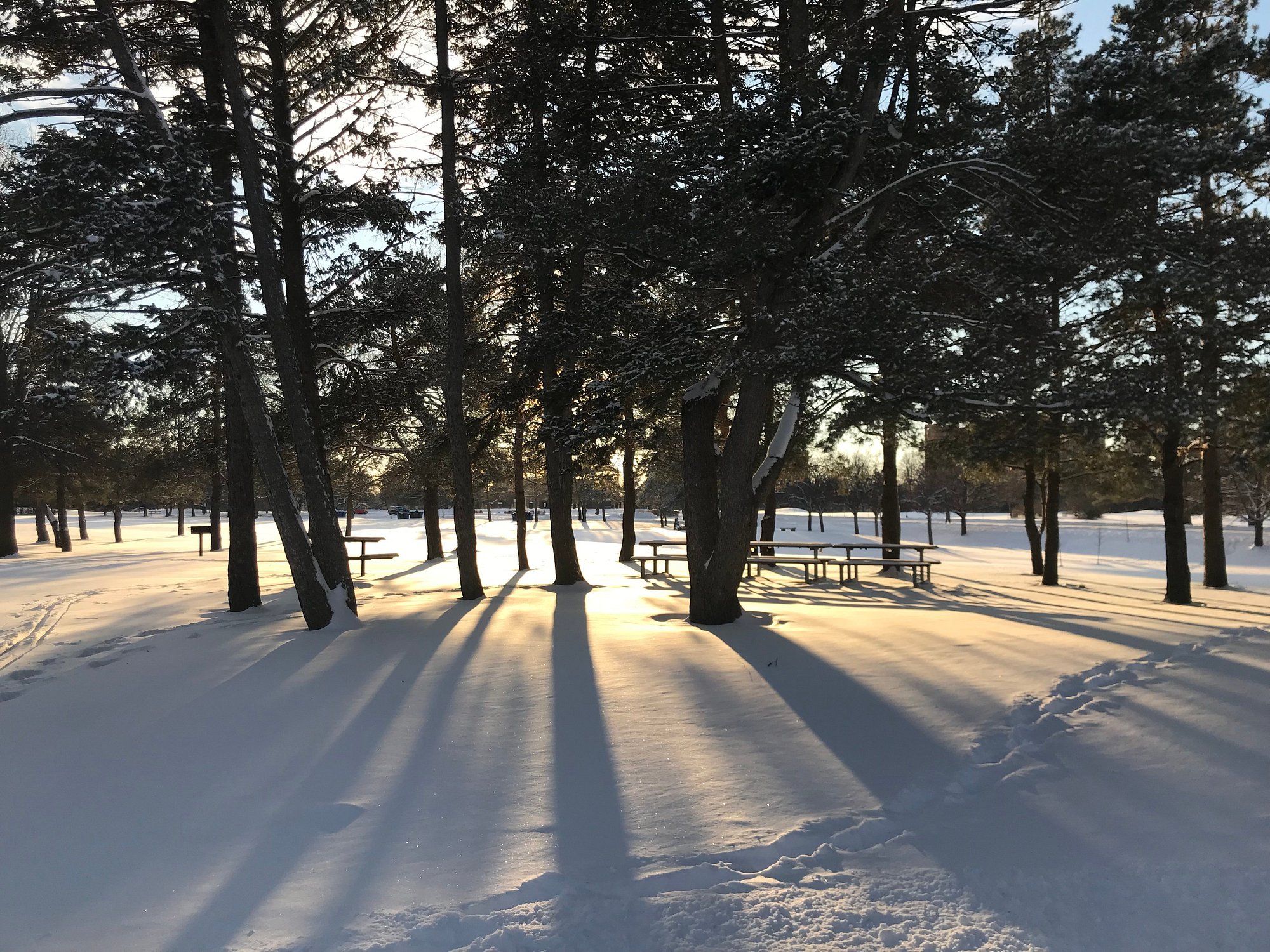A winter sports scene at Earl Bales in North York, Southern Ontario. The stunning winter scenery captures a sunny day with people participating in winter sports at the centre.