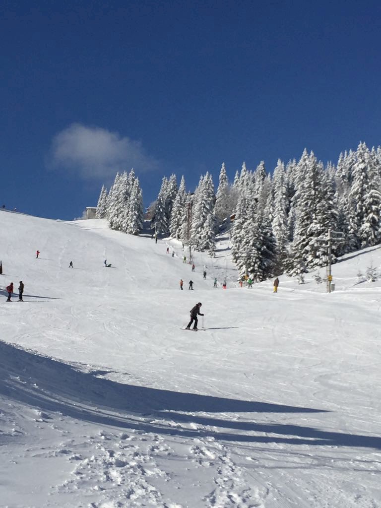 Čertovica in Slovakia - a group of people skiing down a snowy slope.