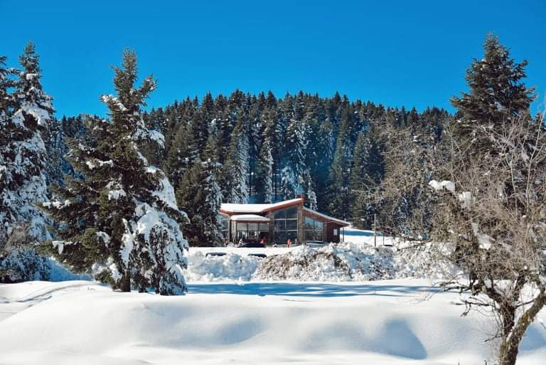 Koziakas – Pertouli in Greece - a house in the snow with trees in the background.
