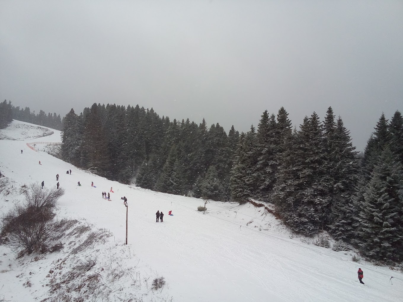 Koziakas – Pertouli in Greece - a group of people skiing down a snow covered slope.